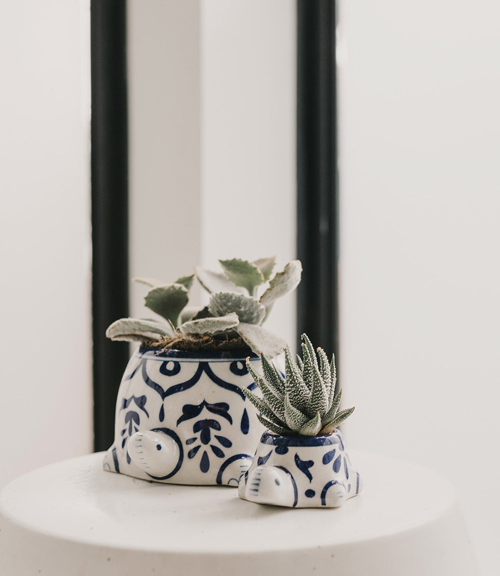 Lalita Mama Turtle Succulent Planter - White, Blue Hand Painted by Matr Boomie