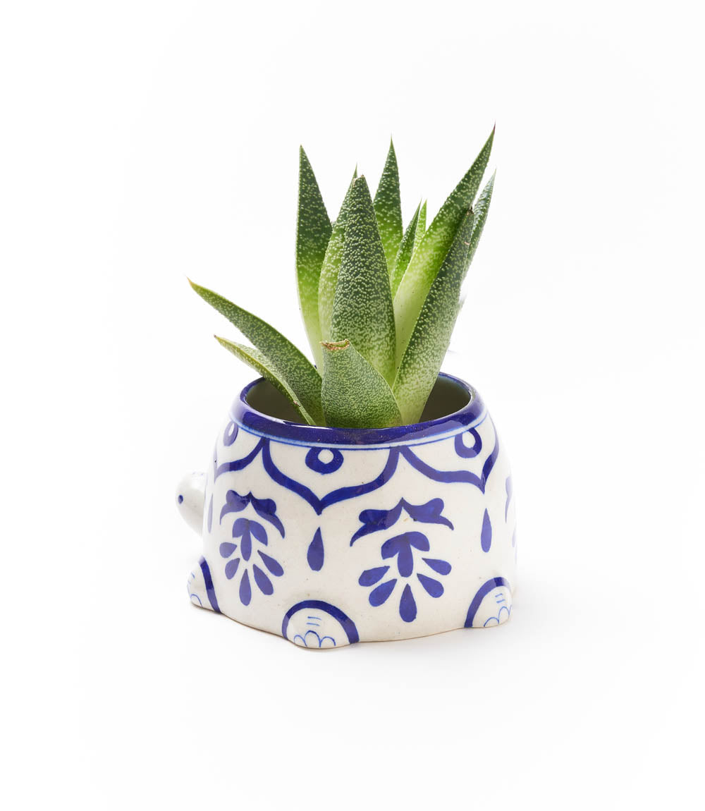 Lalita Mama Turtle Succulent Planter - White, Blue Hand Painted by Matr Boomie