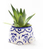 Lalita Mama Turtle Succulent Planter - White, Blue Hand Painted by Matr Boomie