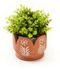 Vasanta Petals Planter with Drainage - Terracotta by Matr Boomie