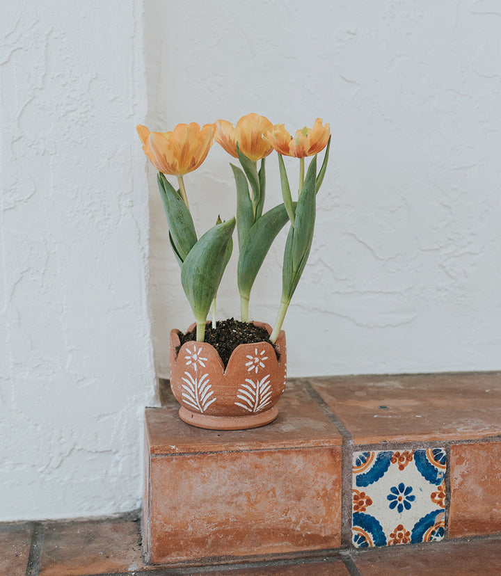 Vasanta Petals Planter with Drainage - Terracotta by Matr Boomie