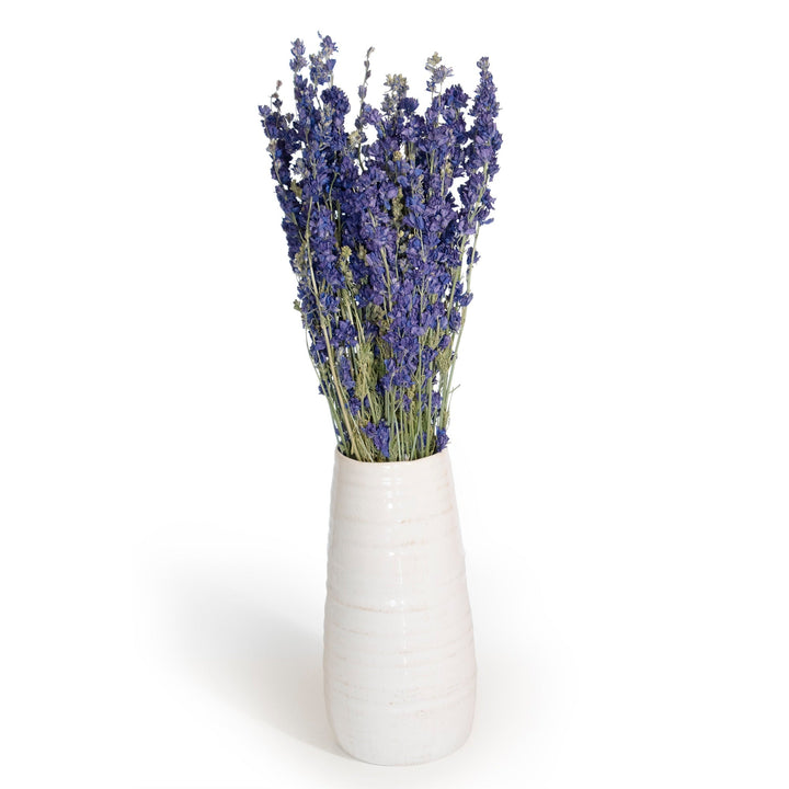 Larkspur Bundles