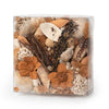 Amber & Paperwhite Box Potpourri