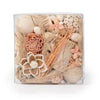 Pampas Grass & Vanilla Spice Box Potpourri