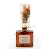 Amber Vanilla Bouquet Reed Bundle Fragrance Diffuser