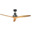 Star Propeller Indoor/Outdoor Ceiling Fan with Black Motor