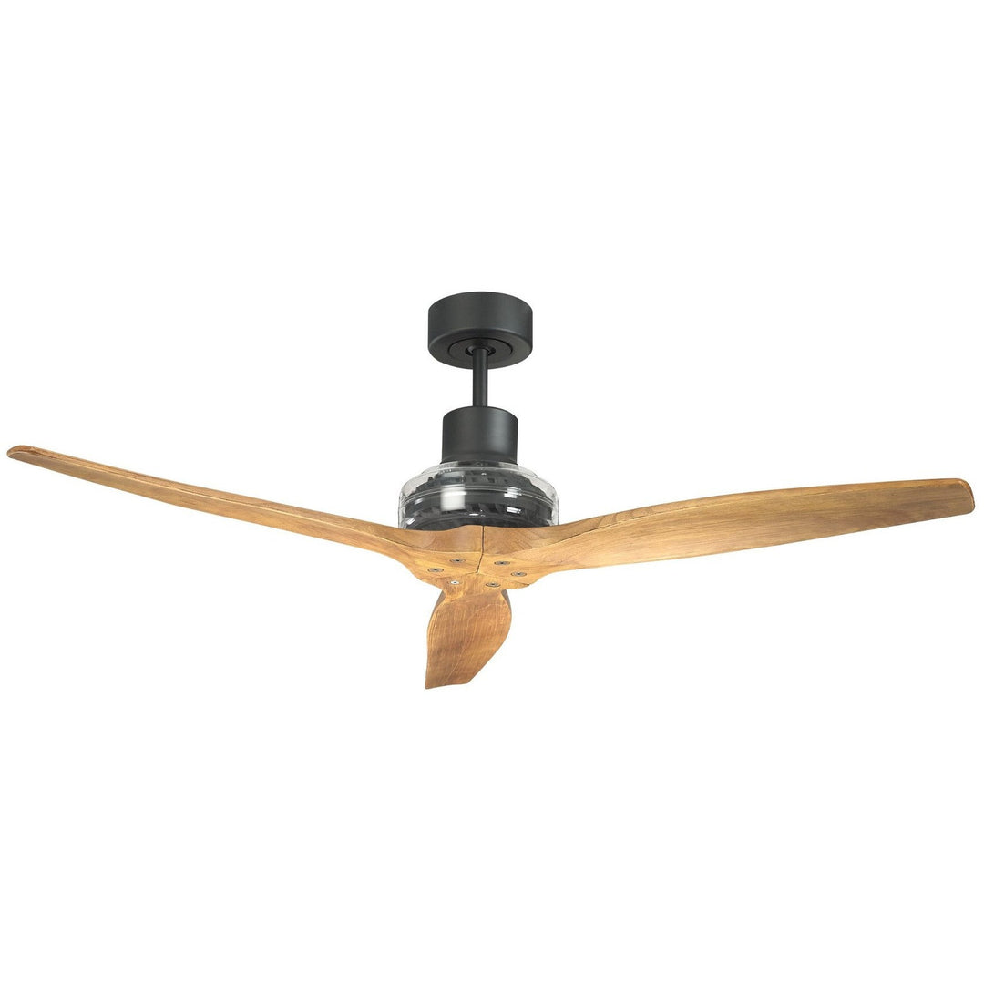 Star Propeller Indoor/Outdoor Ceiling Fan with Black Motor