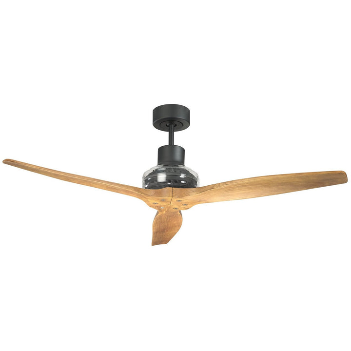 Star Propeller Indoor/Outdoor Ceiling Fan with Black Motor