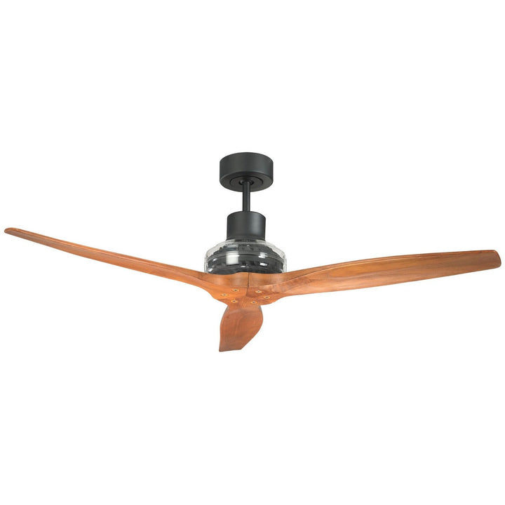 Star Propeller Indoor/Outdoor Ceiling Fan with Black Motor