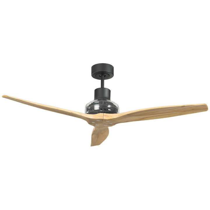 Star Propeller Indoor/Outdoor Ceiling Fan with Black Motor