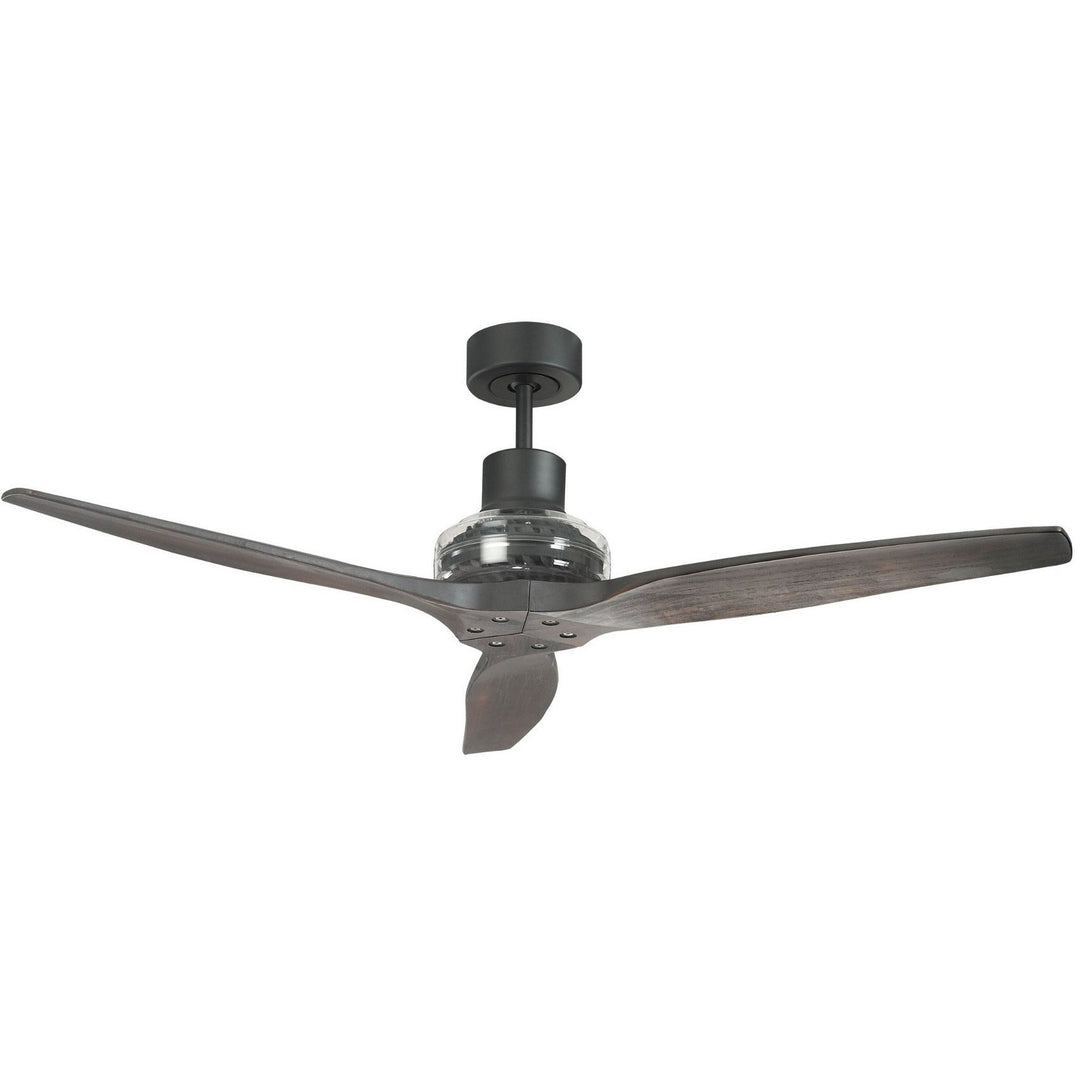 Star Propeller Indoor/Outdoor Ceiling Fan with Black Motor