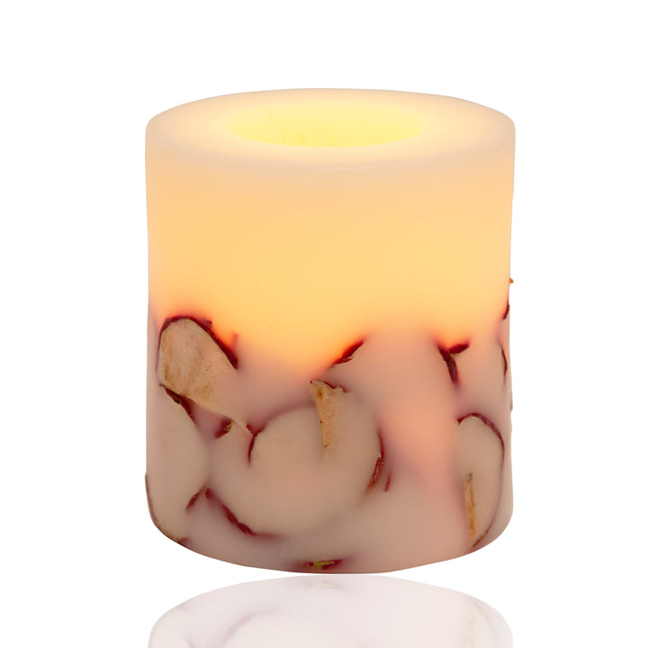 Apple Slice Botanical Candle