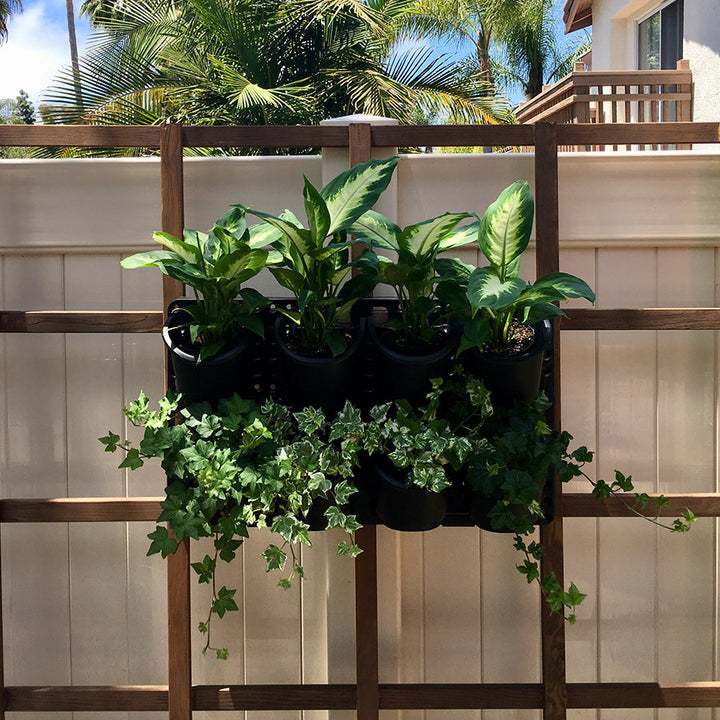 Expandable Green Wall with Built-in Micro Dripper