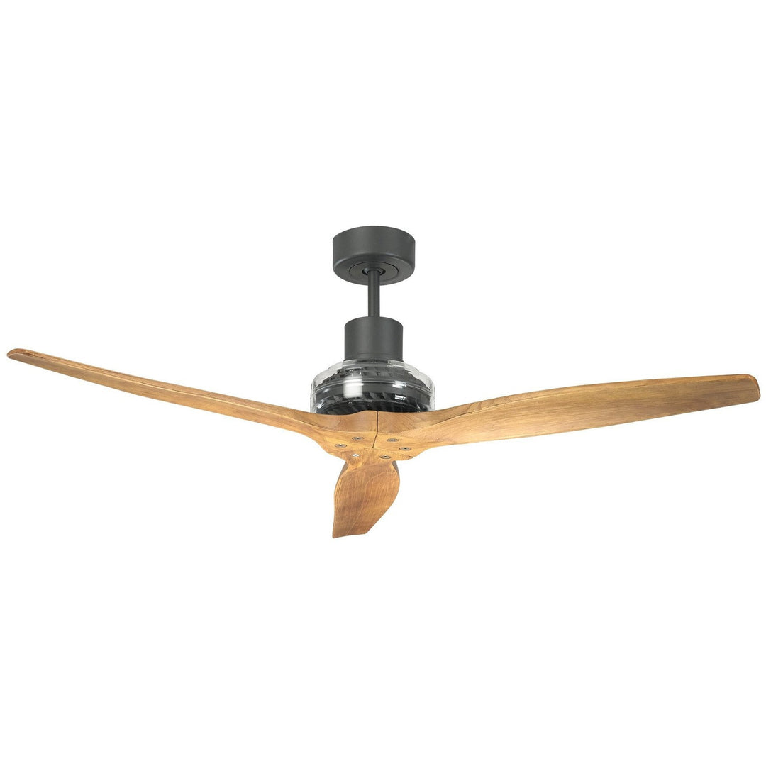 Graphite Star Propeller Indoor Outdoor Ceiling Fan