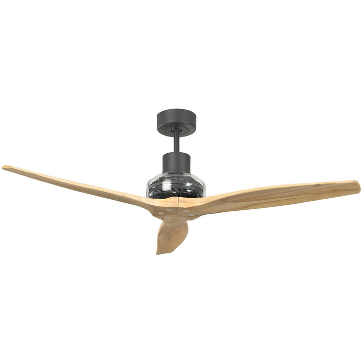 Graphite Star Propeller Indoor Outdoor Ceiling Fan