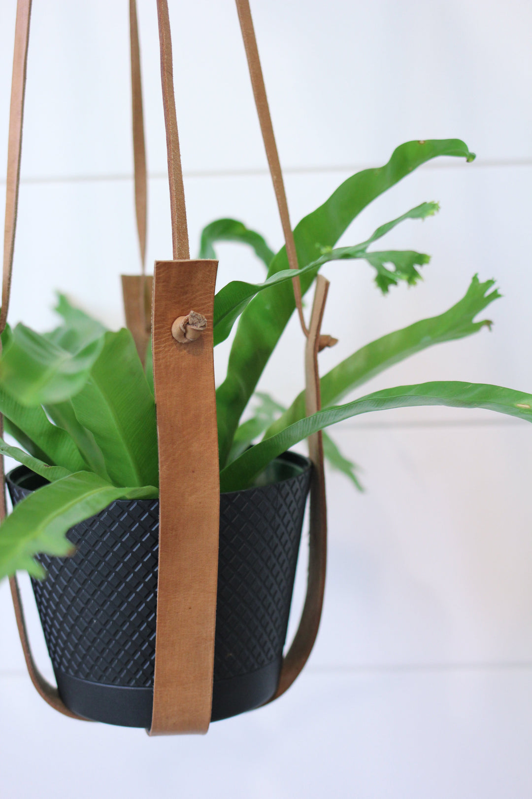 Large Leather Plant Hanger