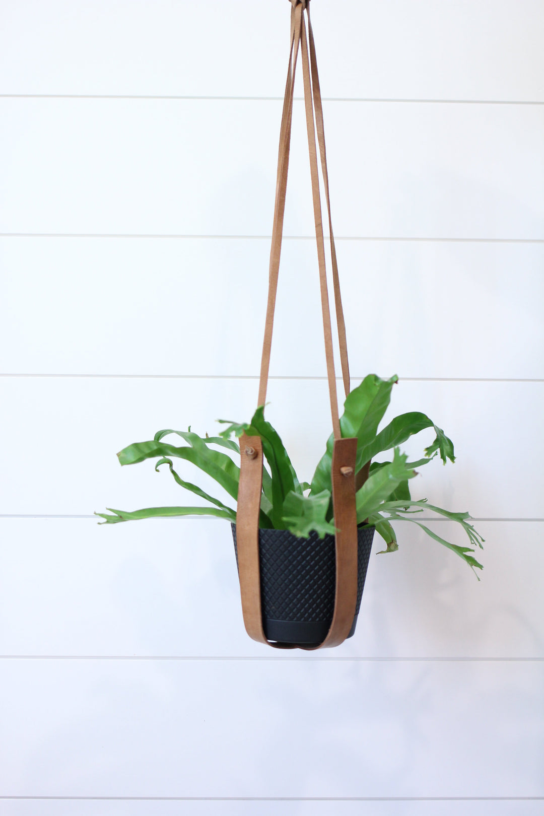 Large Leather Plant Hanger