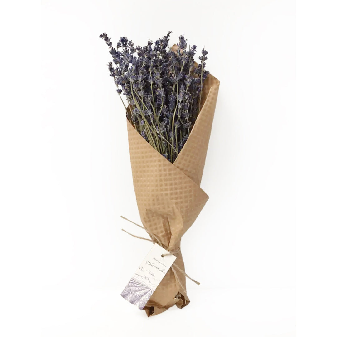 French Lavender Bundle