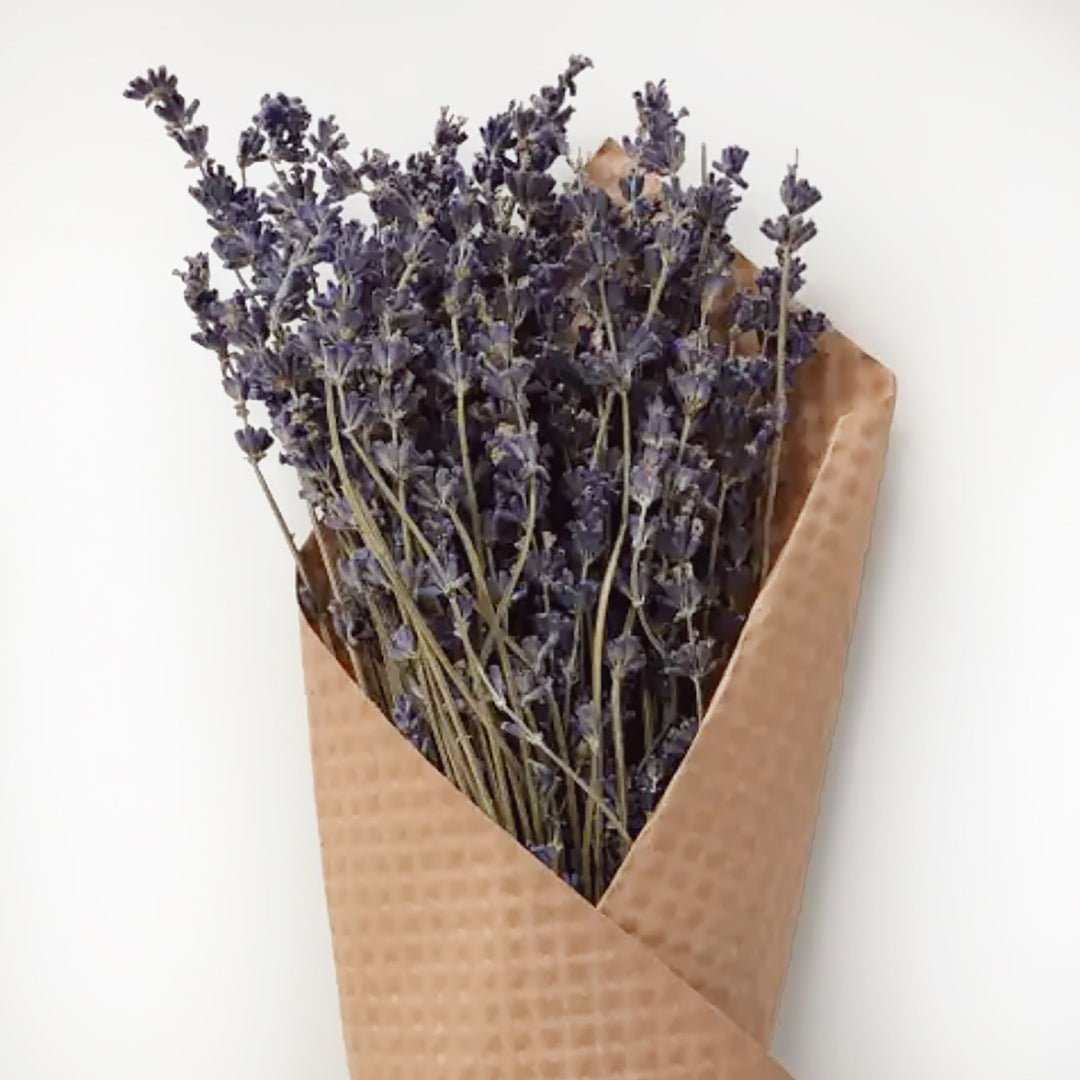 French Lavender Bundle