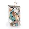 Ocean Plumes Potpourri Jar