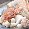 Pampas Grass & Vanilla Spice Box Potpourri