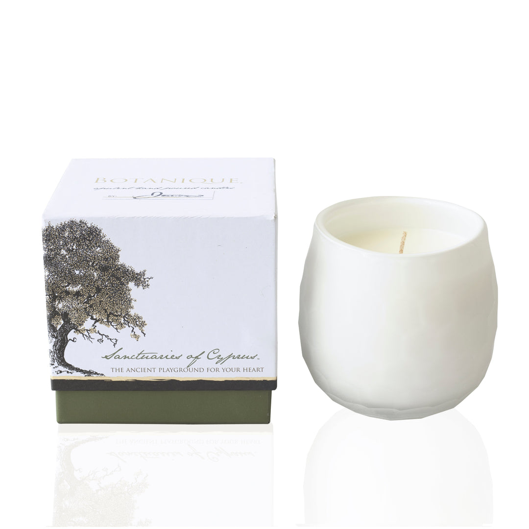 Botanique White 16 oz Candle