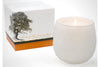 Botanique White 16 oz Candle