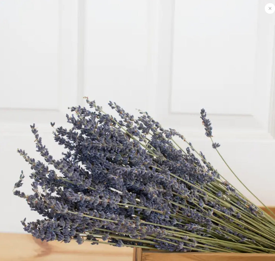 French Lavender Bundle