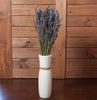 French Lavender Bundle