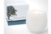 Botanique White 16 oz Candle