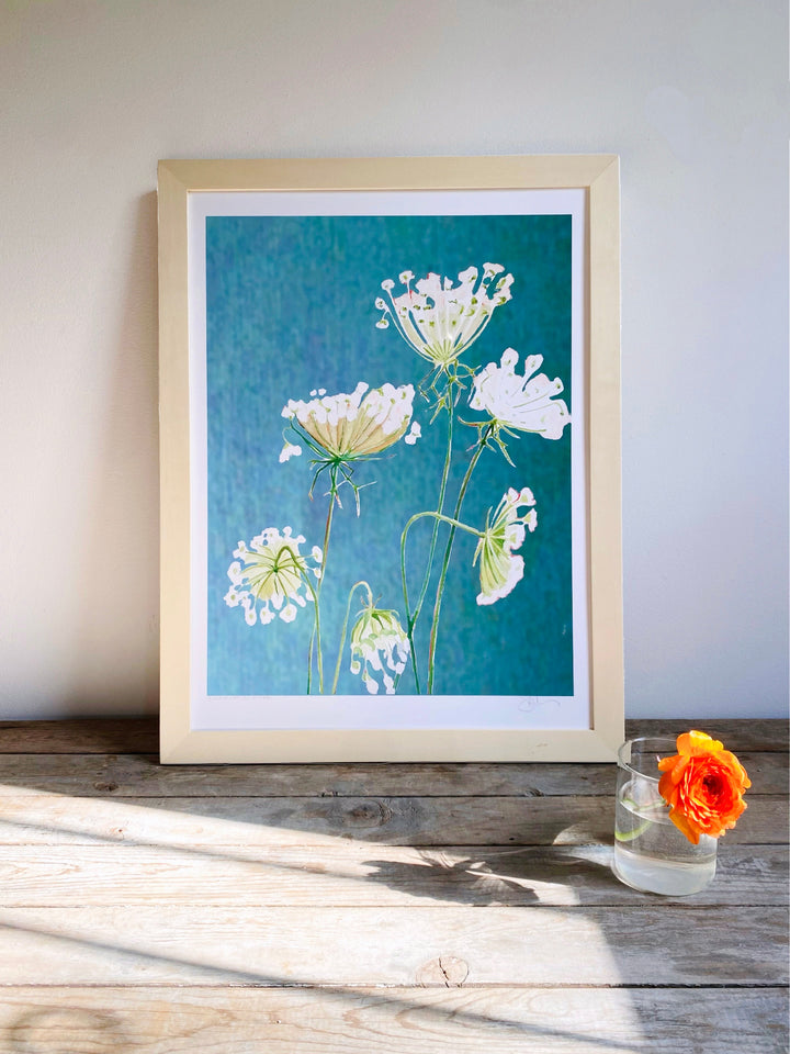 Art Print:  Queen Anne's Lace on Teal by India & Purry