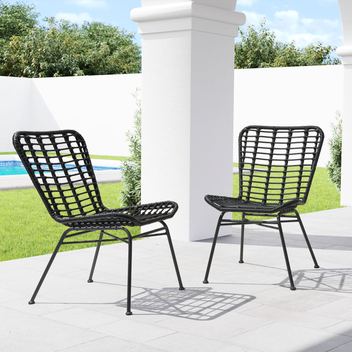 The Lorena Dining Chair (Set of 2) Black  Era and Style Inspired Home Decor 1