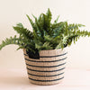 Handcrafted Black + Natural Striped Tapered Basket - Modern Baskets