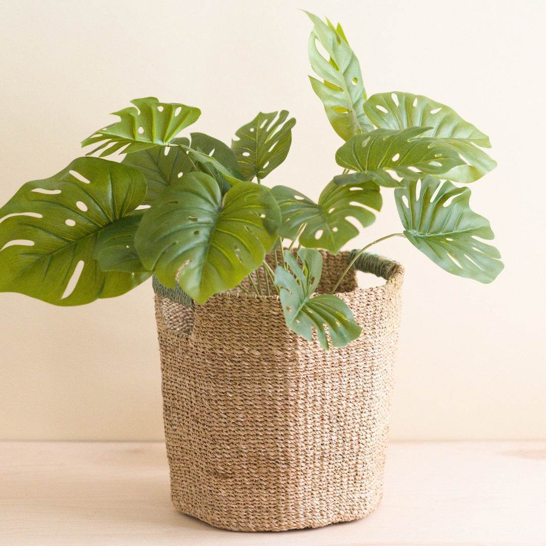 Natural Octagon Basket with Sage Handle - Octagon Basket