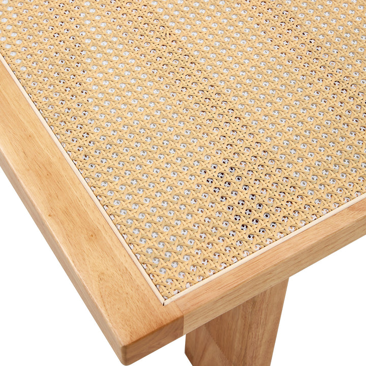 Modern Minimalist Rectangular Rattan Tabletop Coffee Table