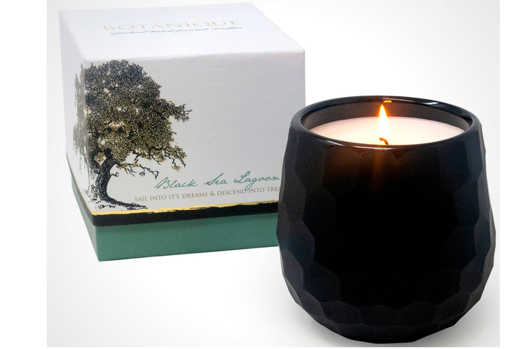 Botanique Black 16 oz Candle