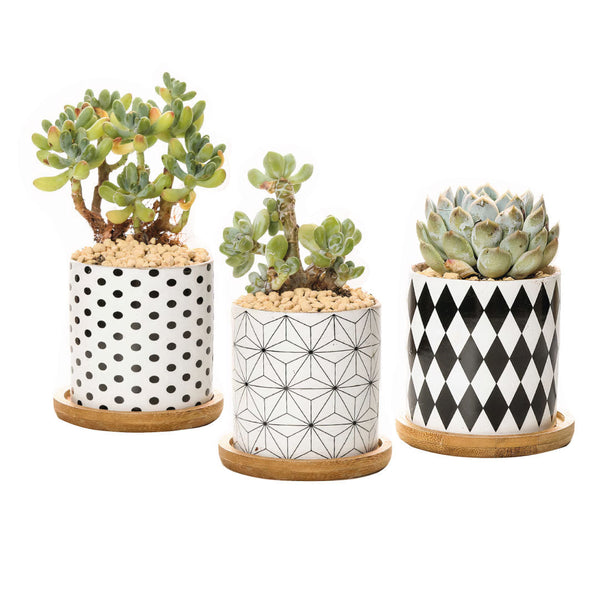 Black and White Geometric Planters Set of 3