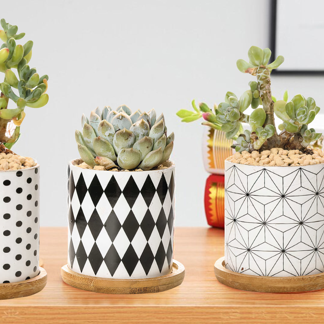 Black and White Geometric Planters Set of 3