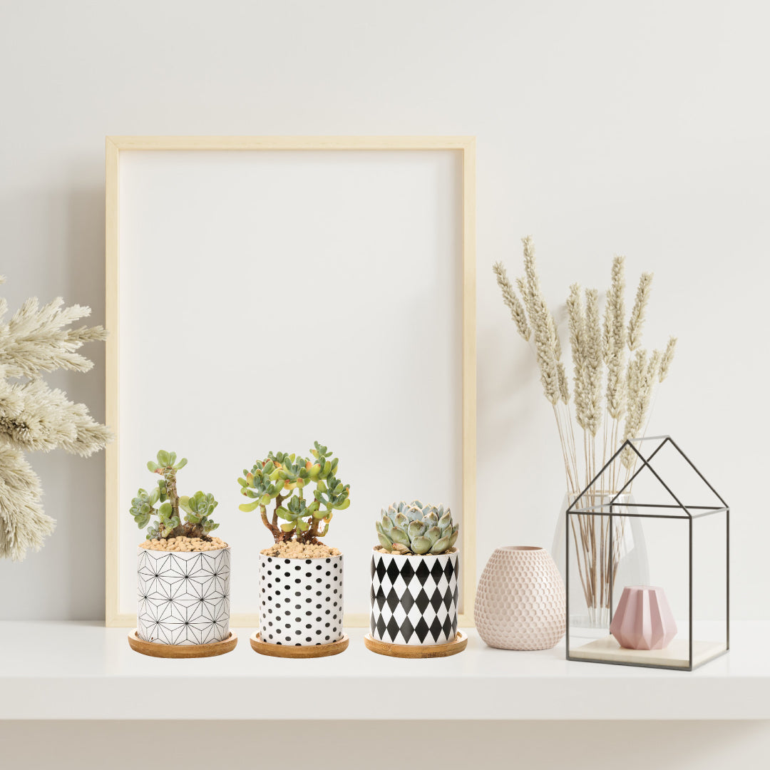 Black and White Geometric Planters Set of 3