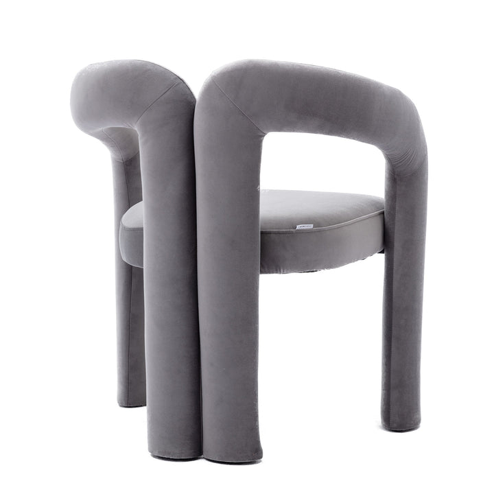 Set of 2 Contemporary Upholstered Accent Chairs