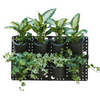 Expandable Green Wall with Built-in Micro Dripper