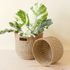 Grey + Natural Round Bottom Baskets, set of 2 - Woven Baskets