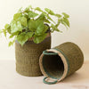 Olive Baskets with Handle, set of 2 - Natural Baskets