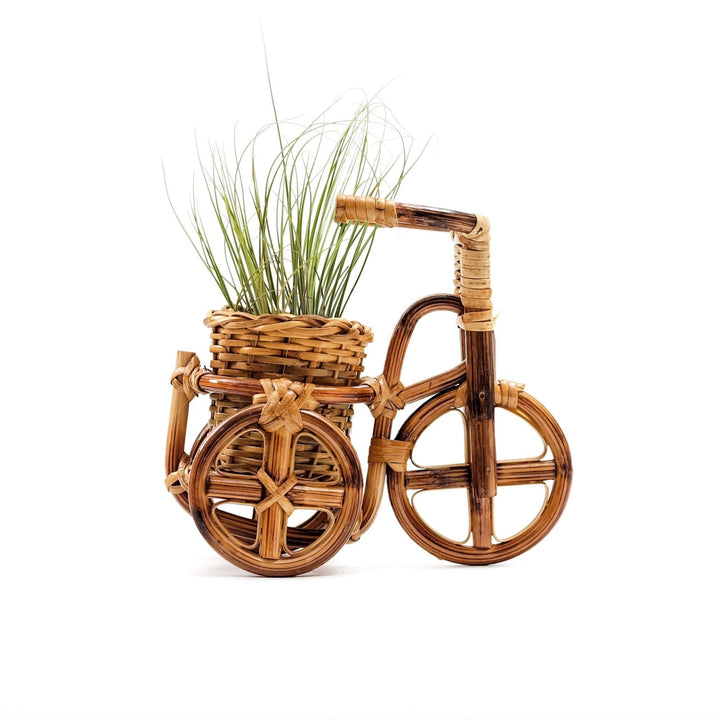 Bicycle Rattan Planter, medium - Handmade Planters