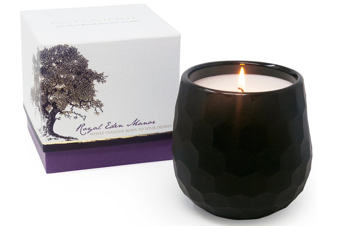 Botanique Black 16 oz Candle